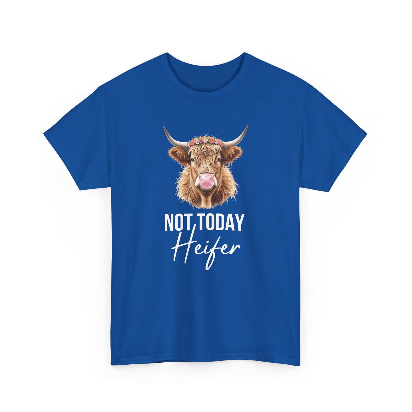 Not Today Heifer Shirt - Amor Amra