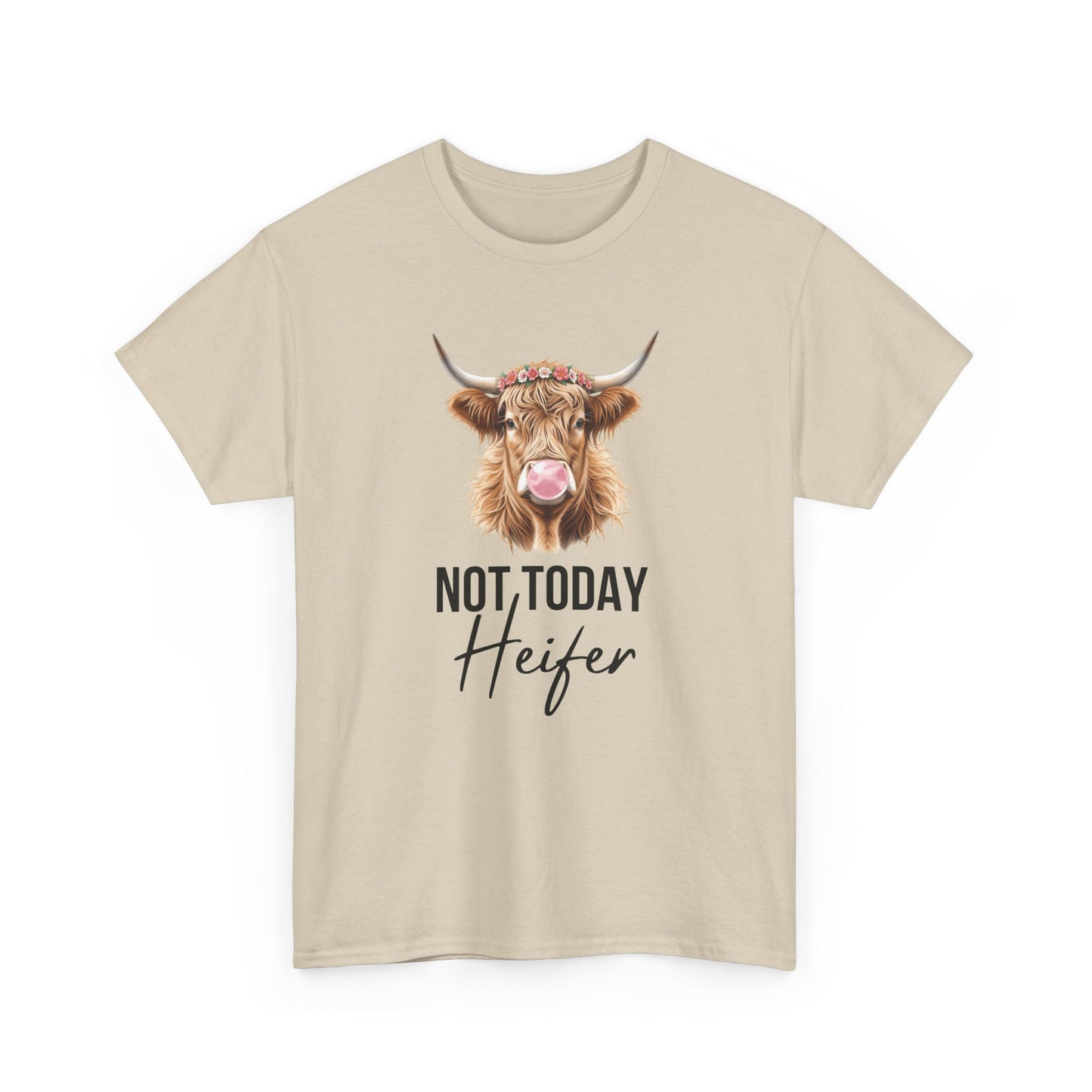 Not Today Heifer Shirt - Amor Amra